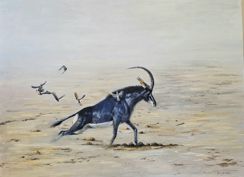 Sable On The Run