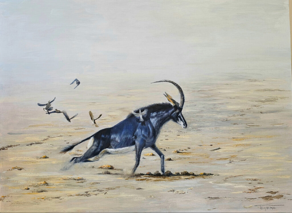 Sable on the run